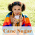 Cane Sugar Products 